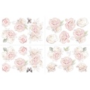 Hokus Pokus - Jardin de Roses - 4 Sheets