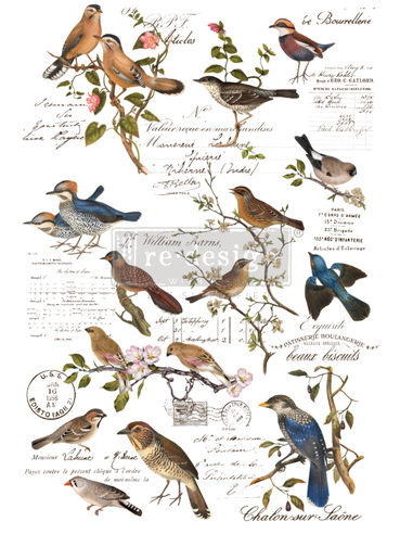 Redesign Décor Transfers® - Postal Birds - size 60,96 cm x 88,90 cm, cut into 3 sheets