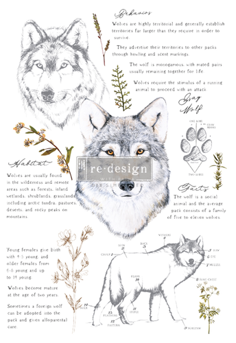 Redesign Décor Transfers® - Gray Wolf - 3 sheets, 60,96 cm x 88,90 cm