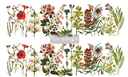 Redesign Decor Transfers® - The Flower Fields