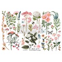 [655350653378] Redesign Décor Transfers® - Botanical Paradise - 3 sheets, 15,24 cm x 30,48 cm