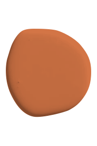 [GroepproductRustyOrange] Rusty Orange