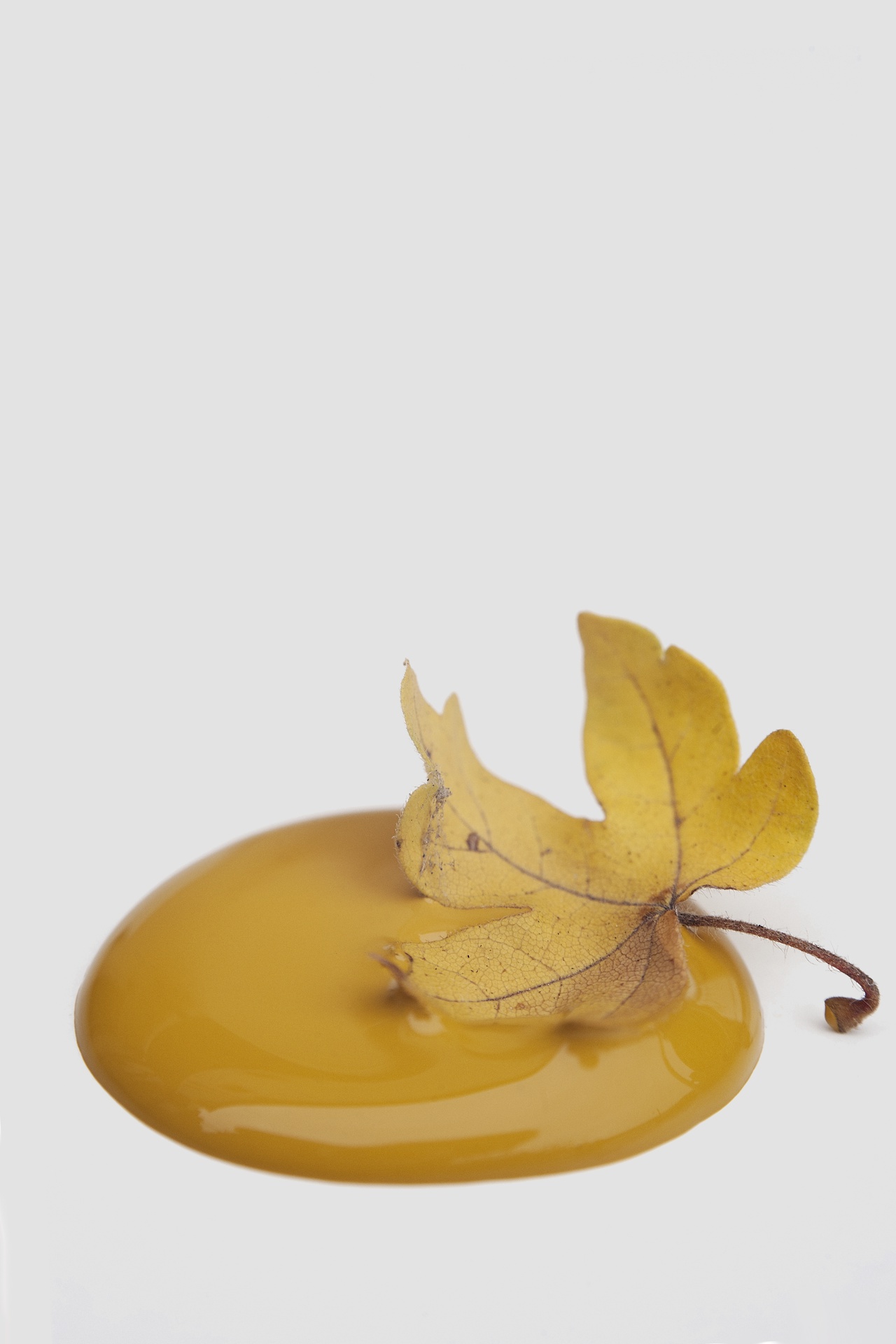 [700759] Marvellous Mustard 50ml glass jar